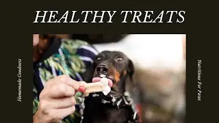 Nutritious Dog Treats  Homemade & Healthy!