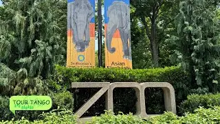 Exciting Zoo Walking Tour - Smithsonian Washington DC - 4K - Tour Tango