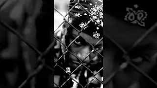 BOOM BAP TYPE BEAT | 90S OLD SCHOOL RAP BEAT | FREESTYLE BOOM BAP INSTRUMENTAL | 