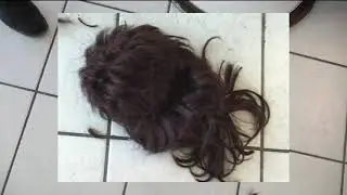 MULLET FUZZ&nbsp;/ Trailer