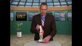 Posterior Cruciate Ligament (PCL) Injuries