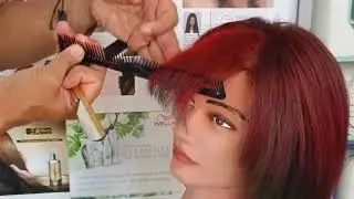 How To Do New Hair Cutting Technique | खूबसूरत फ्रंट फ्लिक्स बालों को कैसे काटे |