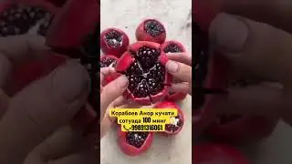 #rek #automobile #baki #fruit #той #shayxrahmatullohtermiziy #qashqirlarmakonipistirma #garden