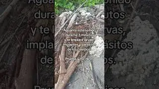 limpieza energ&eacute;tica r&aacute;pida