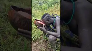 The Mundari Tribe and Their Sacred Cattle Traditions #shortvideo