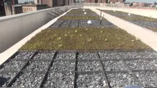 Blue/Green Roof & Hotel Water Conservation Challenge