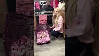 Я переехал&hellip;