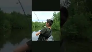 Wielki szczupak na kulkę!