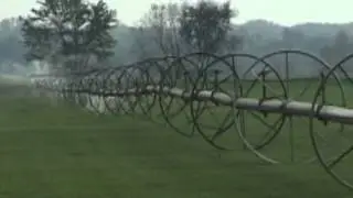 Wheel Lines