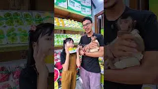 Chya Gak bisa Sabar 🤗 #shortvideo #short #monkey #monyet #animals