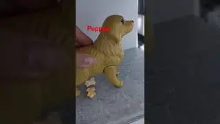Everyones Fav Dogs