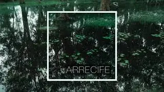 7. CAMALOTAL / ARRECIFE (Lena L&oacute;pez & Daniel Schneck)