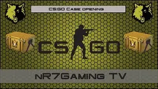 CS:GO | Winter Case opening | nR7Gaming