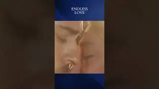 I Can't Say Goodbye To You - Endless Love #shorts