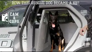 How this Rescue Dog Became a Police K9  - Cam & Cops Episode 2