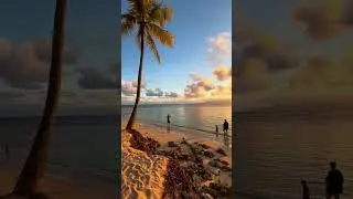 Golden Guadeloupe Beach Sunset Experience