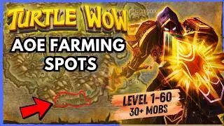 Paladin AOE Farming Spots That Make GOLD