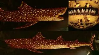 The Life Aquatic with Steve Zissou [2004] - Jaguar Shark Screen Time