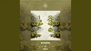 Blossom (Audio Junkies Remix)