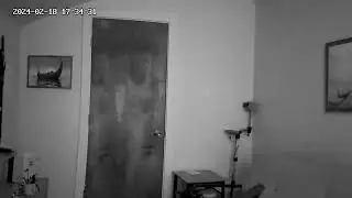 Shadow crawling on my ceiling