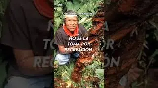 La Ayahuasca - Puerta al mundo espiritual #datoscuriosos #interesante #shorts #ayahuasca #tradicion