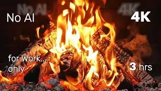 Reliable & Confident, Roaring Perfect BackGround for Party & Chill &hellip; 4K60fps  ULTRA HD (#40)