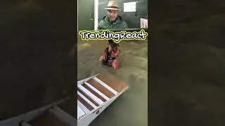 हो गया कांड #shorts #trendingreact #funnyशॉर्ट्स #comedyvideos #trynottolaughchallenge