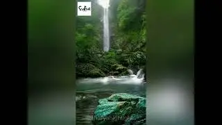 Satisfying Nature scenes #natureasmr #naturesounds #satisfying #foryou #waterfall #waterfallsounds