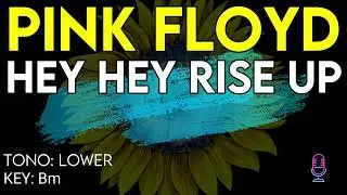 Pink Floyd - Hey Hey Rise Up - Karaoke Instrumental - Lower