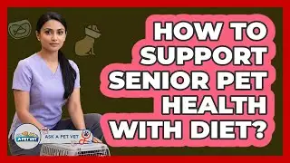 How To Support Senior Pet Health With Diet?