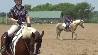 Sr Sr & Sr WT English Pleasure Fox River Saddle Club 6.17.23