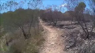 Minerva Hill NP