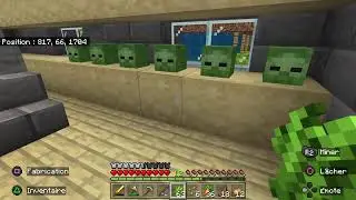 [FR/PS5] Live Minecraft survie avec double et tritri chill gameuse venez parler #PS5 #FR