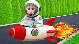 Monkey Baby Bon Bon tries to find a way to bring the lost duckling back home