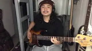 The Rock Show | blink-182 (bass cover)