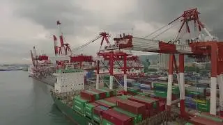 Cebu Port Authority AVP