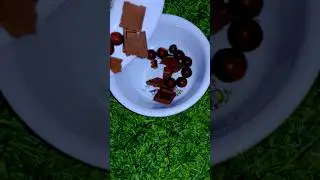 The Choco Platter Experience: A Voice Review