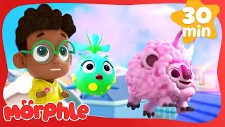 PINK FLYING SHEEP!! + MORE Animal Videos | 30 Min of Morphle Magic Pet Cartoons for Kids