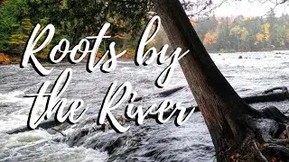ROOTS BY THE RIVER | ACTION SONG