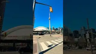 Spring has finally arrived to Toronto 🙌🤩 #2025 #spring #toronto #canada #america #ontario #summer