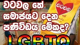 වටවල තේ සමාජයට දෙන්න හදන ආදර්ශය මේකද?? #watawalatea #masterplan #lgbtq #වටවලතේ #kumbiyo #srilanka