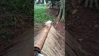 Ох какой ворчливый птенец