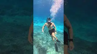 Тестирование баллона для дыхания Lung Tank T-500 🤿 #водныевидыспорта #подводныймир #океан #fyp