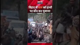 #bihar #tiger #news #imyoungmedia #viralreels #memes This video is not of bihar but of #uttarakhand