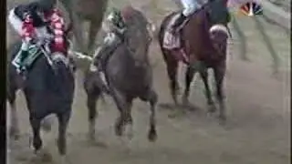 Afleet Alex Preakness Stakes 2005 + overview of near fall!
