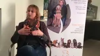 BAT training voor reactieve honden (deel 1)