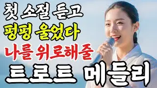 듣자마자 목 놓아 펑펑 울었다ㅣ위로가 필요한 중년들의 심금을 울리는 애절한 인생 감성 트로트 메들리 #인생트로트 #케이팝 #트로트 #노래 #가요 #대중가요 #trot #7080
