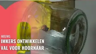 Imkers ontwikkelen val voor hoornaar