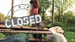 Avere più cani e sfalci consapevoli - Vlog3