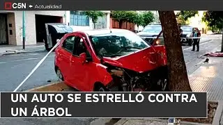 PERDIÓ el CONTROL y CHOCÓ CONTRA un ÁRBOL
